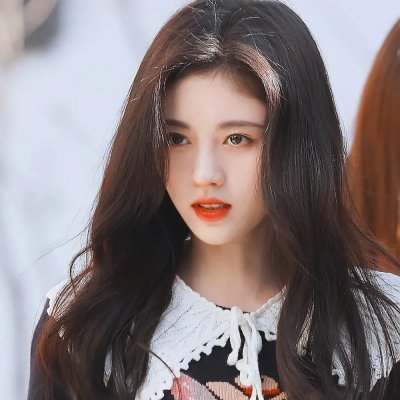 鲨与鲸